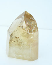 Statement Natural Citrine Point 2.8 lbs