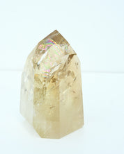 Statement Natural Citrine Point 2.8 lbs