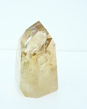 Statement Natural Citrine Point 2.8 lbs