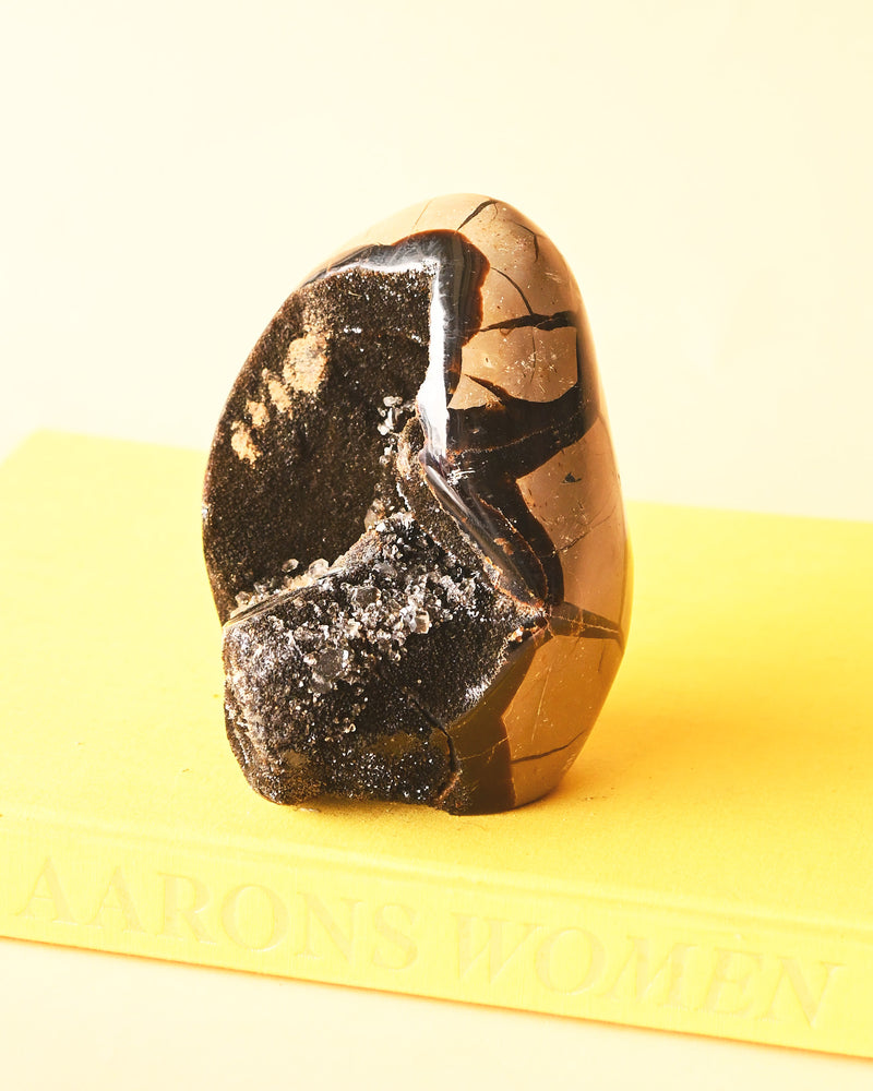 Septarian with Quartz 3.2lbs