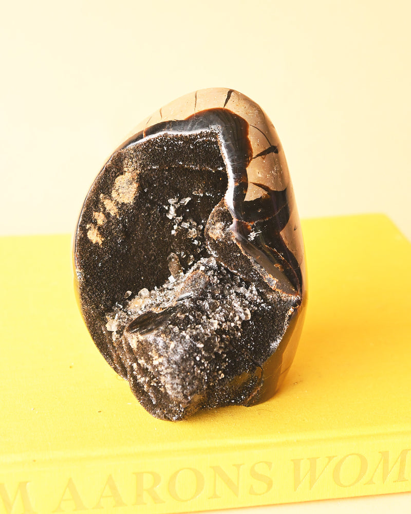 Septarian with Quartz 3.2lbs