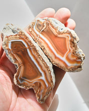 Malawi Agate Geode Pair