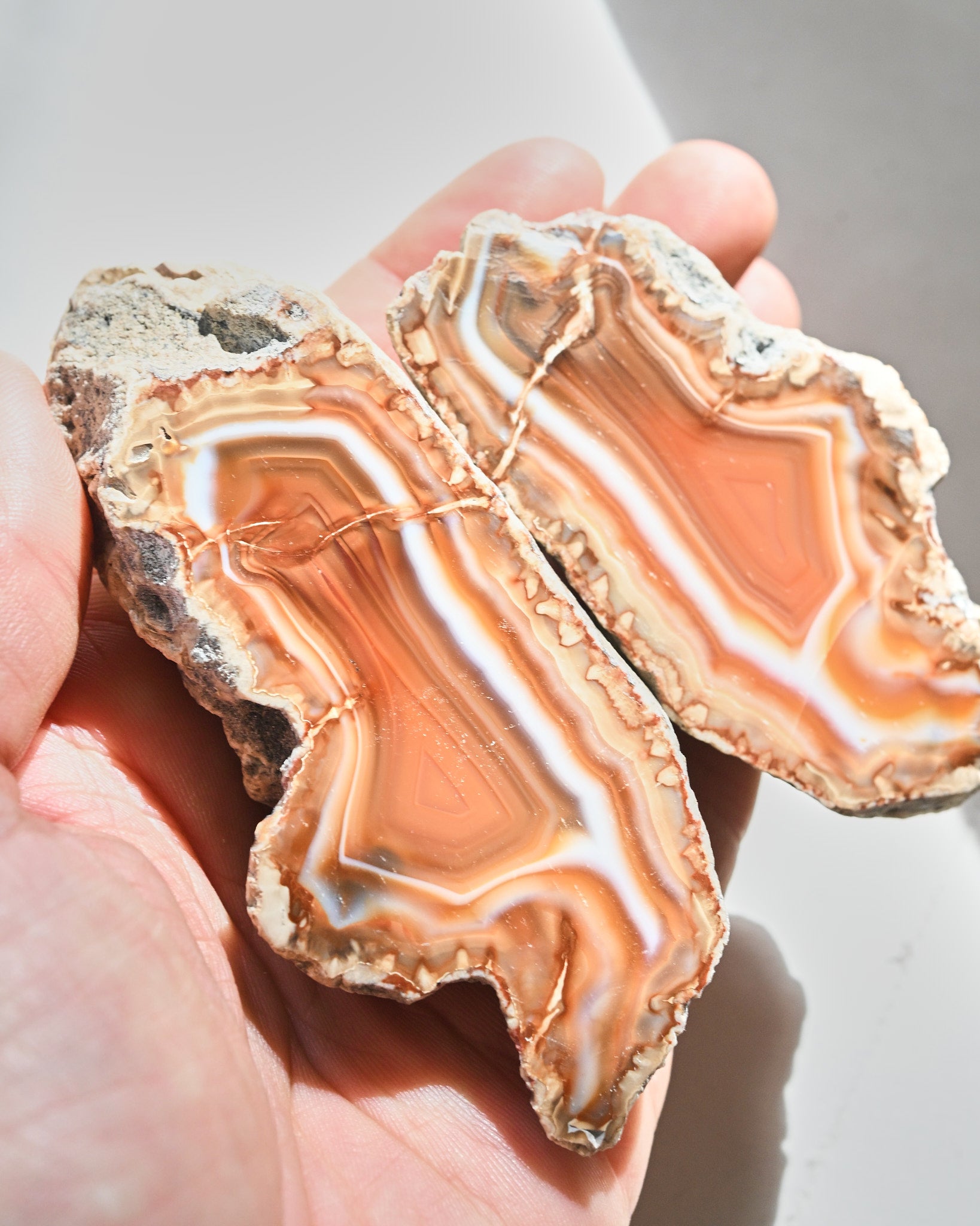 Malawi Agate Geode Pair | South Africa Crystal | Crystals.com