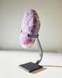 Amethyst Crystal Geode on Stand 3.7lbs No. 1.73
