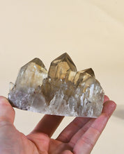 Natural Elestial Citrine Cluster | South Africa