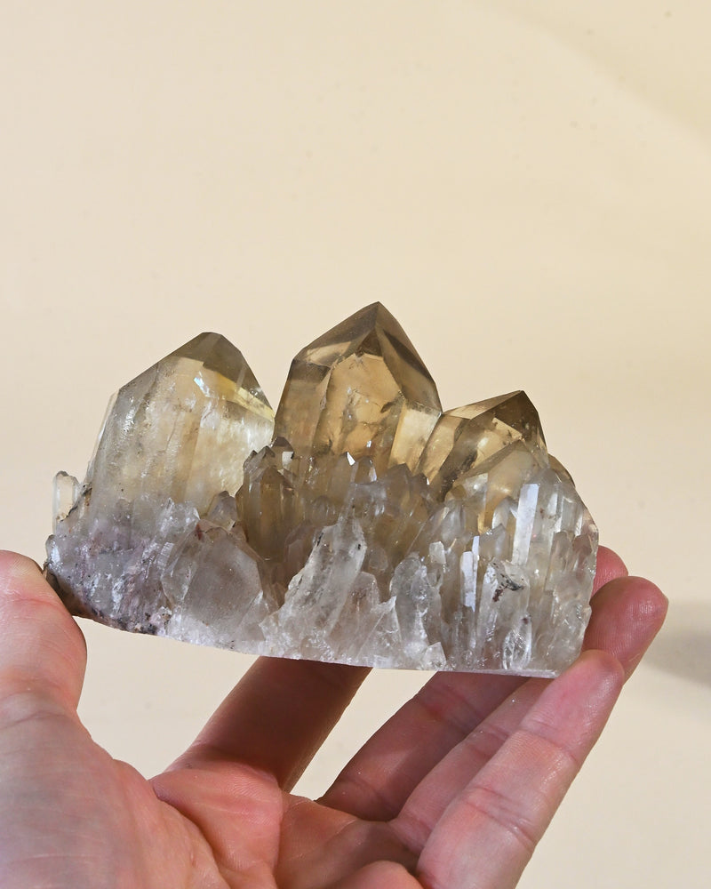 Natural Elestial Citrine Cluster | South Africa