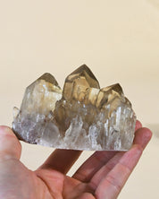 Natural Elestial Citrine Cluster | South Africa