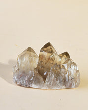Natural Elestial Citrine Cluster | South Africa