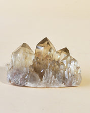 Natural Elestial Citrine Cluster | South Africa