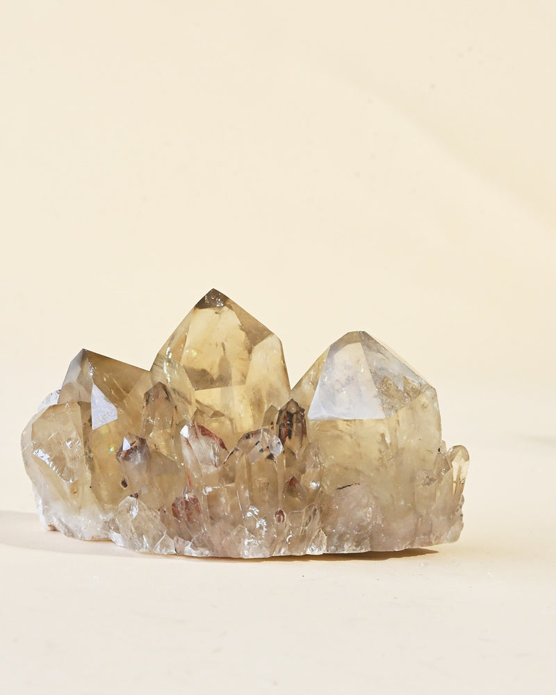 Natural Elestial Citrine Cluster | South Africa