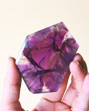 Rare Trapiche Amethyst Slice - natural amethyst crystal for sale at Crystals.com