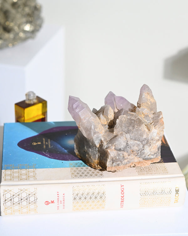 Peruvian Amethyst Cluster 4in