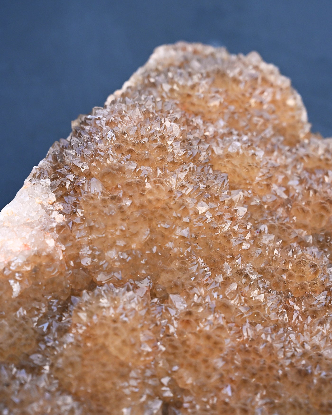 13.155 citrine agate 14x12x4 fossil  algae washingting lace agate 900mil missourii
