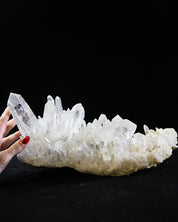 Arkansas Clear Quartz Statement Cluster 13.5 lbs — 14x7x6 in