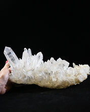 Arkansas Clear Quartz Statement Cluster 13.5 lbs — 14x7x6 in