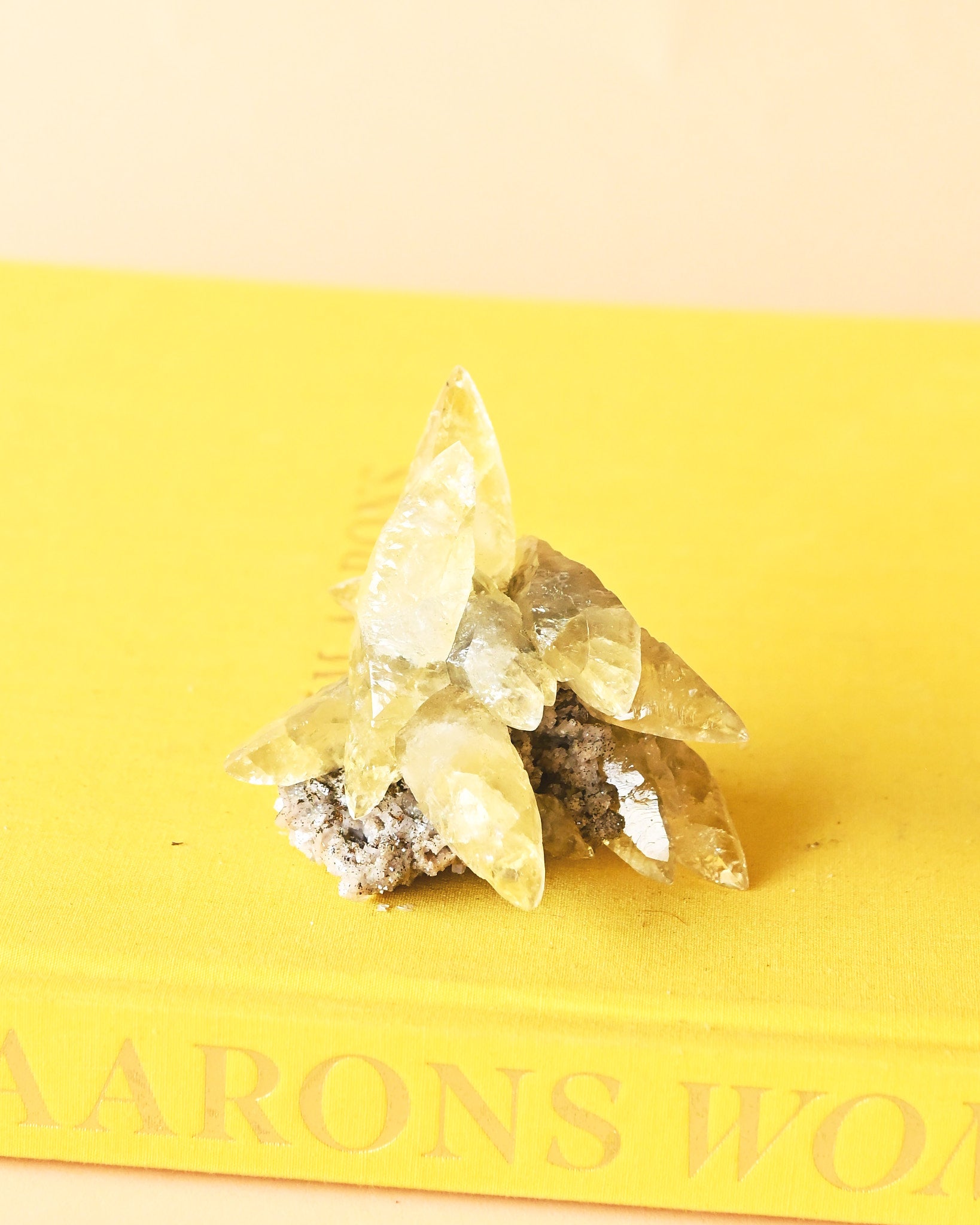 Rare Dragon Scale Calcite | Sweetwater Mine