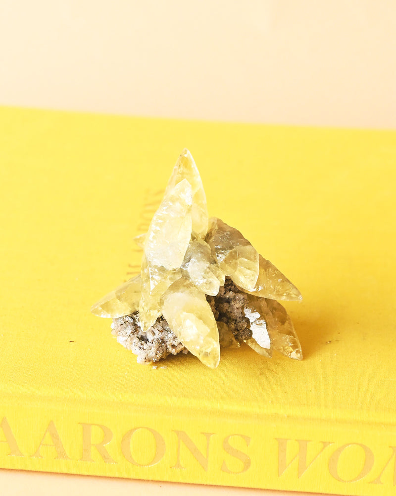 Rare Dragon Scale Calcite | Sweetwater Mine