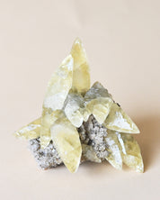 Rare Dragon Scale Calcite | Sweetwater Mine