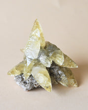 Rare Dragon Scale Calcite | Sweetwater Mine - calcite crystal cluster specimen view 13