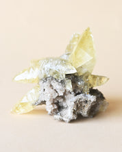 Rare Dragon Scale Calcite | Sweetwater Mine