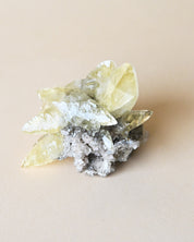 Rare Dragon Scale Calcite | Sweetwater Mine