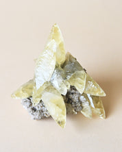 Rare Dragon Scale Calcite | Sweetwater Mine