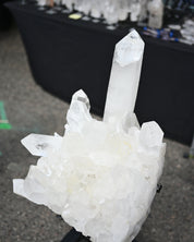160lbs XXL Clear Quartz Cluster on Stand 4 ft