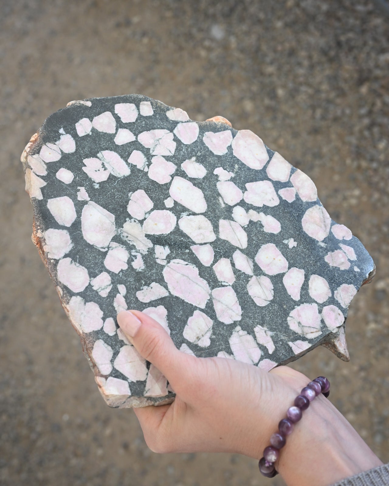 Collectors Australian Trio - Pilbara, Mookaite, Porphyry