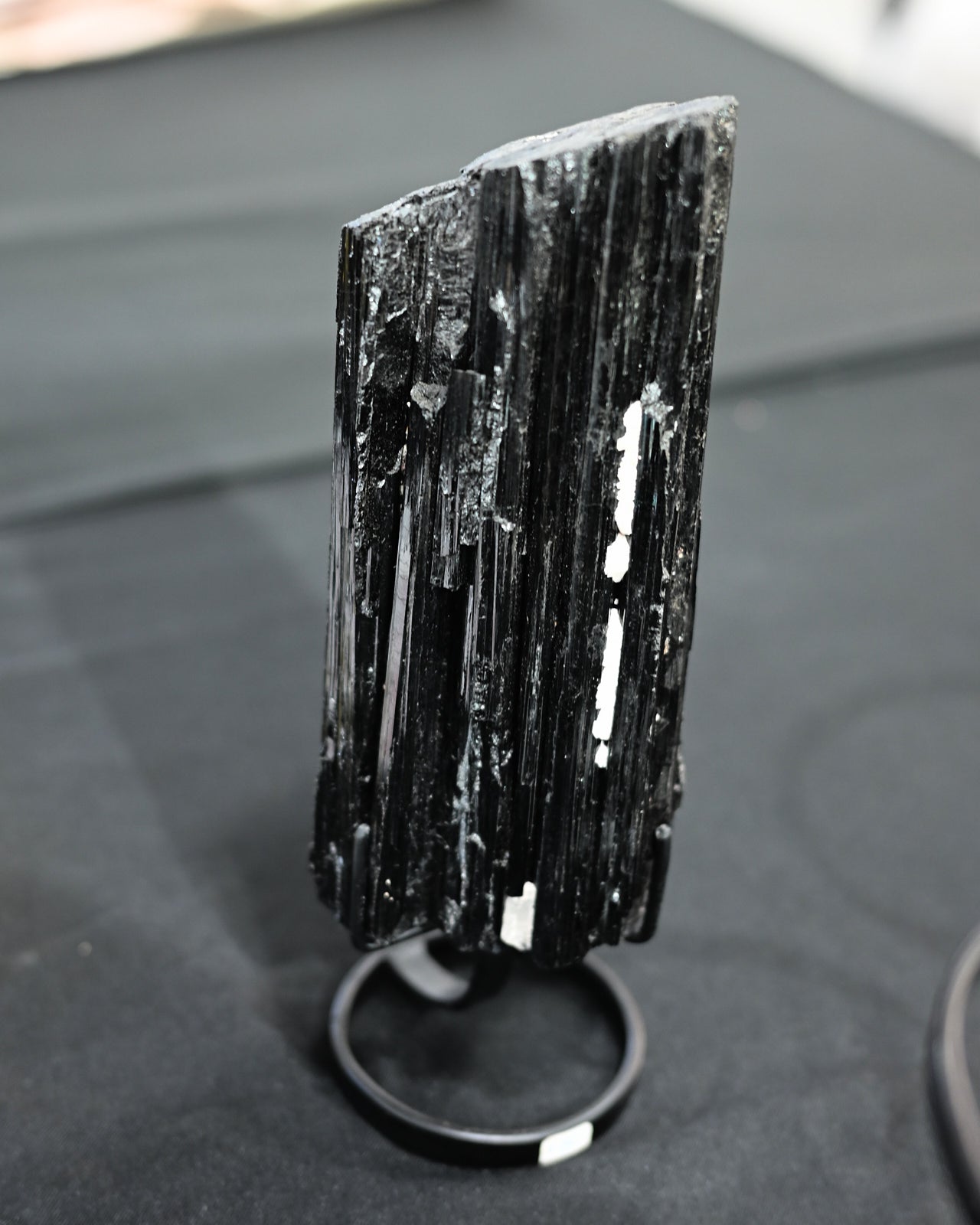Black Tourmaline on Stand