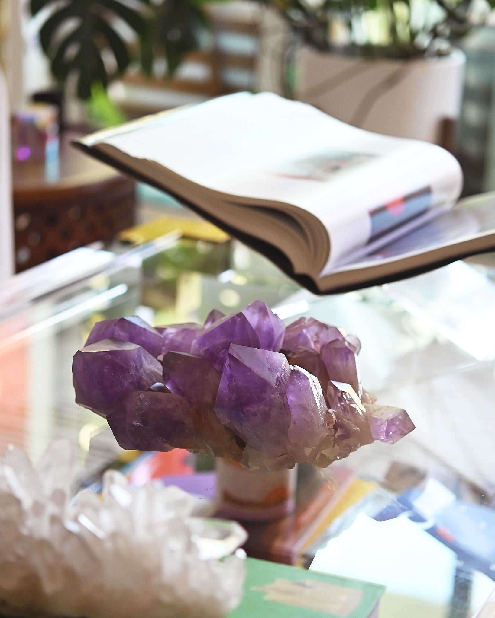 XXL Bolivian Amethyst Cluster 14.5lbs