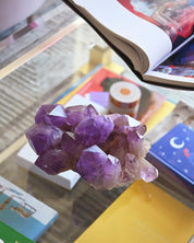 XXL Bolivian Amethyst Cluster 14.5lbs