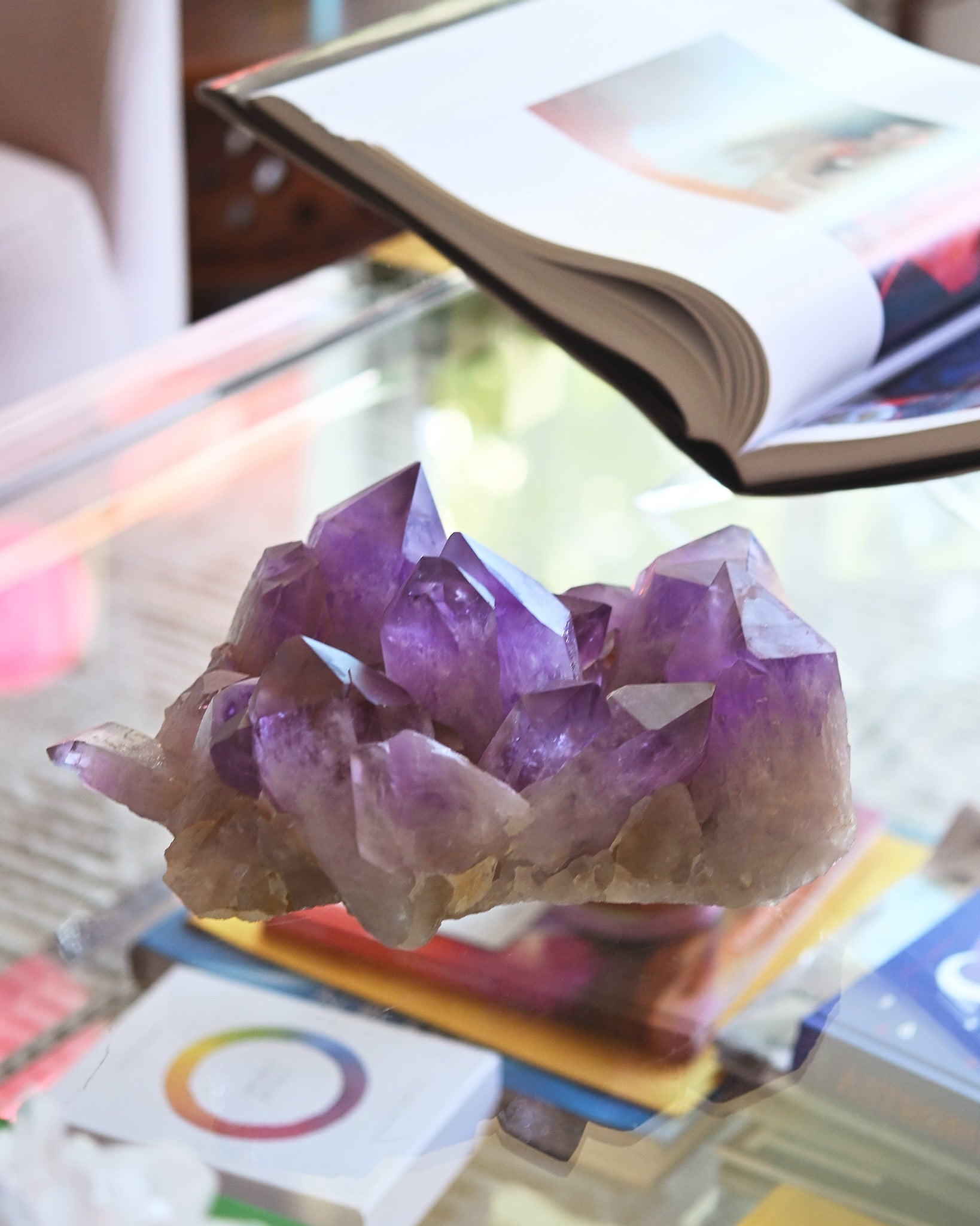 XXL Bolivian Amethyst Cluster 14.5lbs