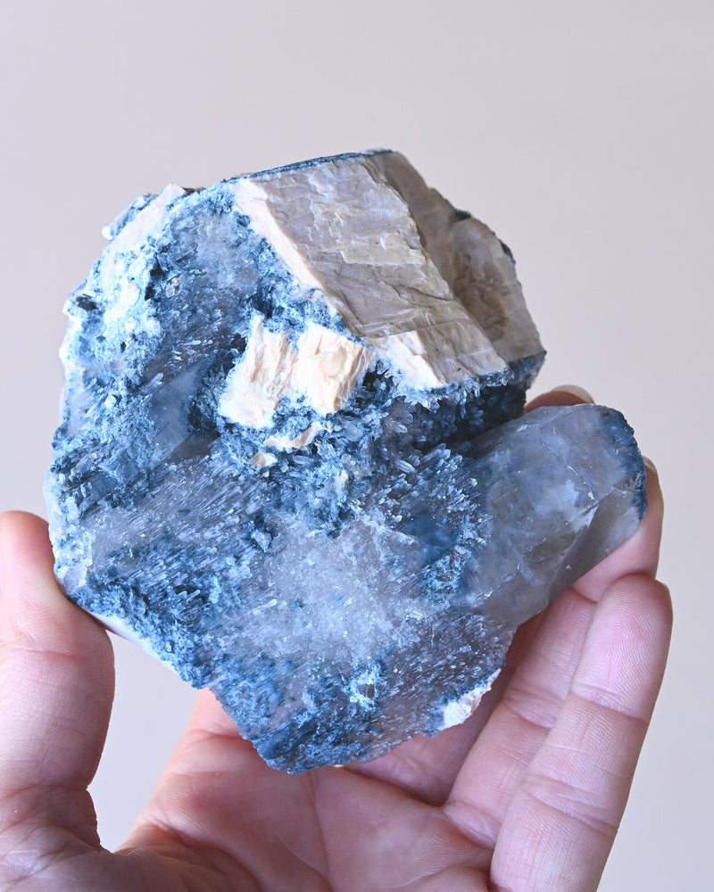 Foitite on Feldspar, Erongo #150-A