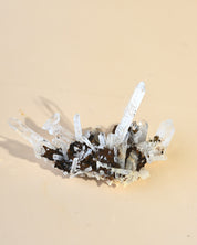 Lemurian Quartz w Siderite - styled in home