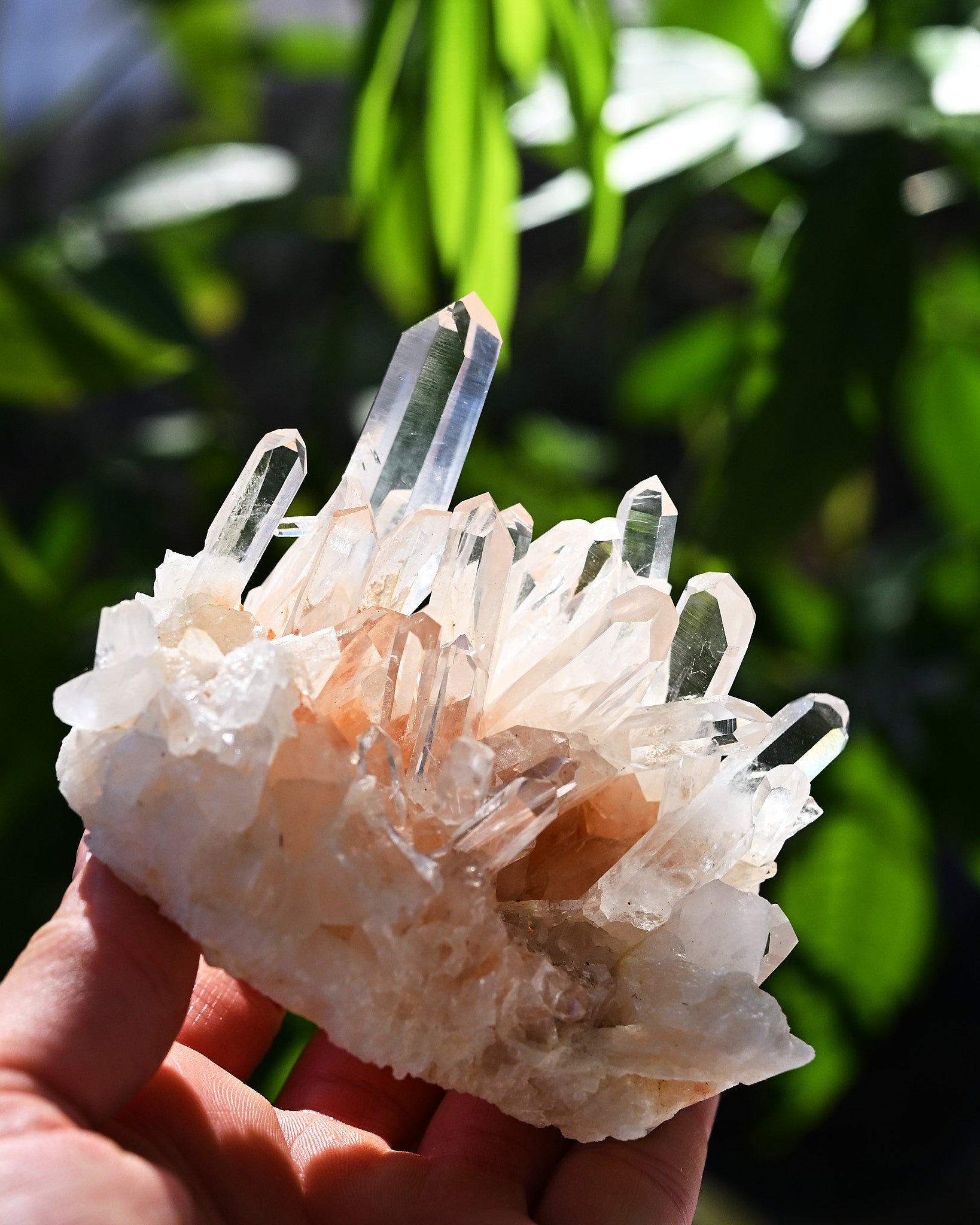 Lemurian Quartz Cluster 3.5in