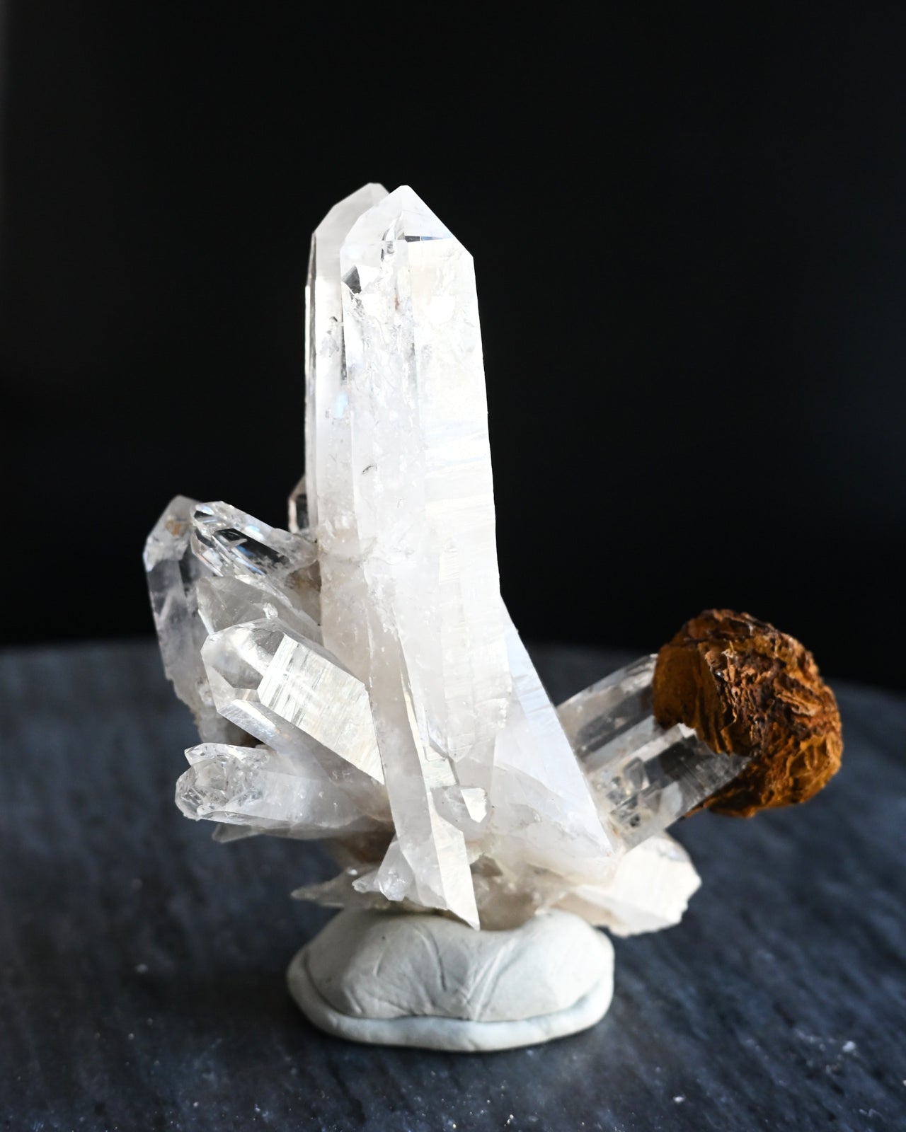 29--emurian--0414.jpg