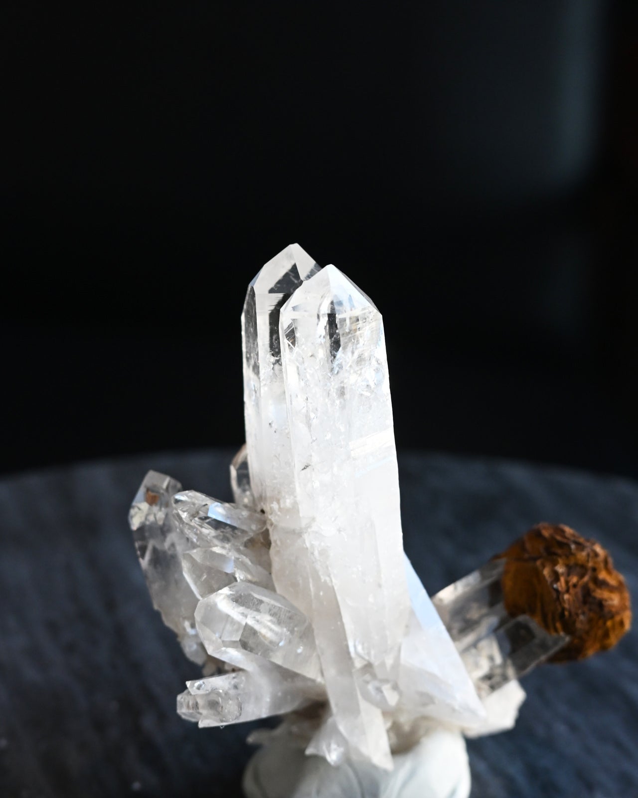29--emurian--0416.jpg