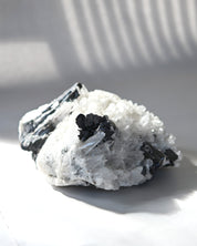 Hubnerite with Quartz 7.7lbs