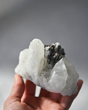 Hubnerite with Quartz 4 inch