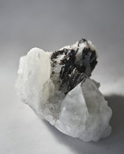 Hubnerite with Quartz 4 inch