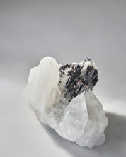 Hubnerite with Quartz 4 inch