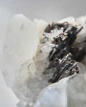 Hubnerite with Quartz 4 inch