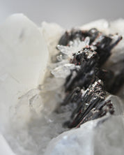 Hubnerite with Quartz 4 inch