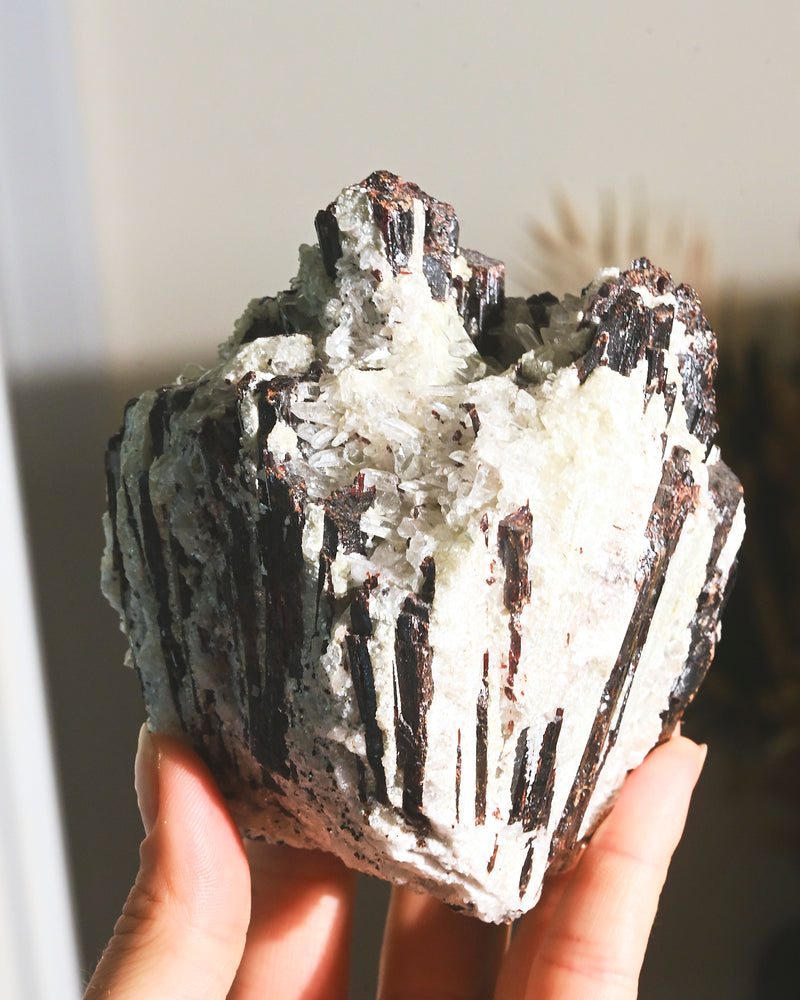 Hubnerite with Quartz 2.6lbs