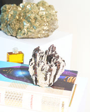 Hubnerite with Quartz 2.6lbs