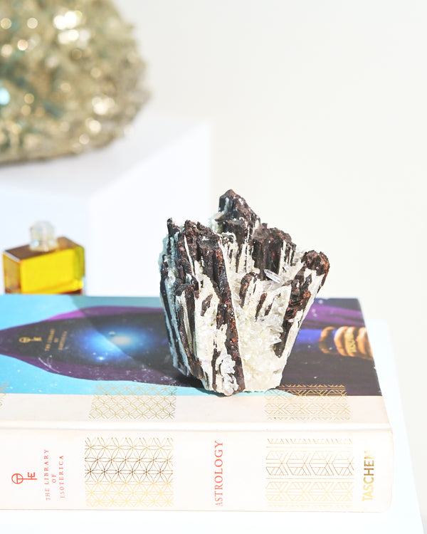 Hubnerite with Quartz 2.6lbs