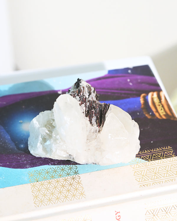 Hubnerite with Quartz 3inch