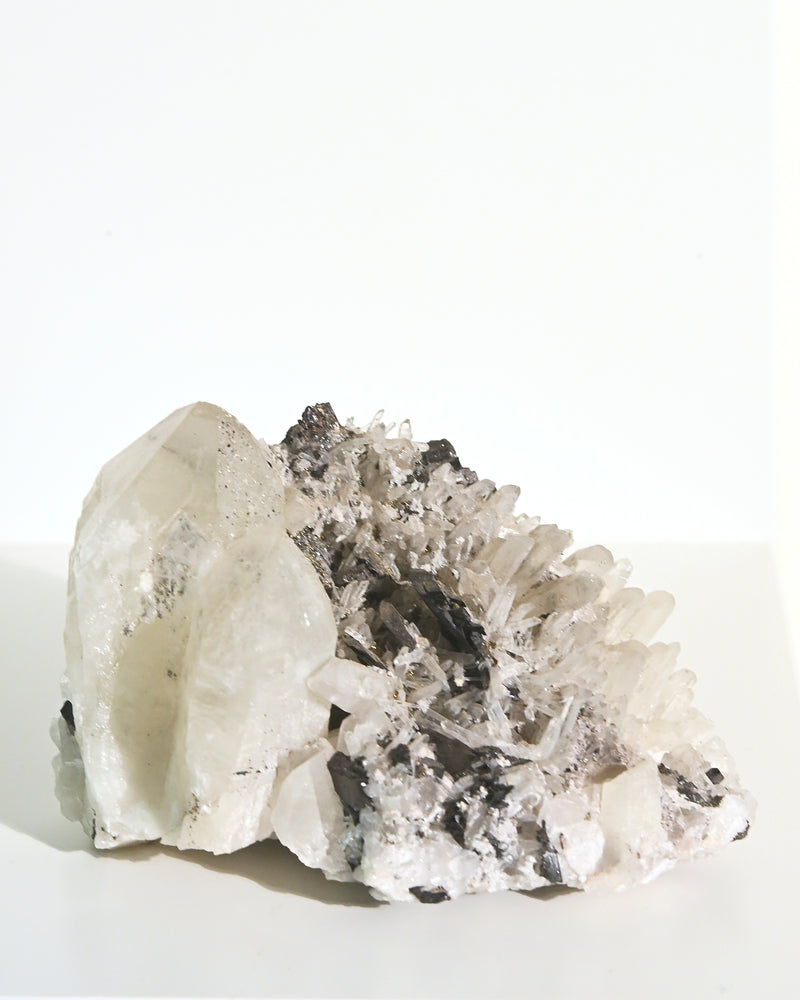 Hubnerite with Quartz 4inch