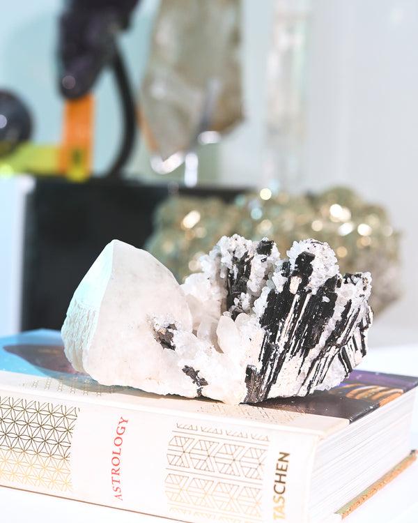 Hubnerite with Quartz 6 inch