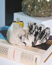 Hubnerite with Quartz 6 inch